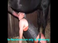 Gay sucking big horse dick and make it cum